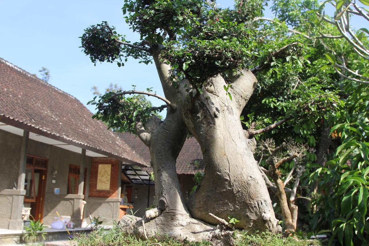 Готель Jerogadung House Убуд Екстер'єр фото